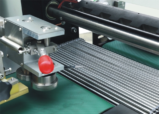 Selo horizontal da máquina de empacotamento da suficiência do formulário do PLC que transporta os servos motores